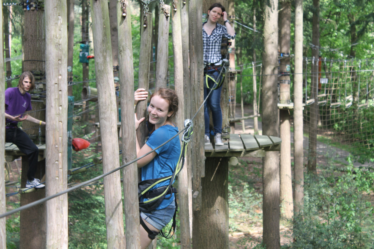 Climbing forest