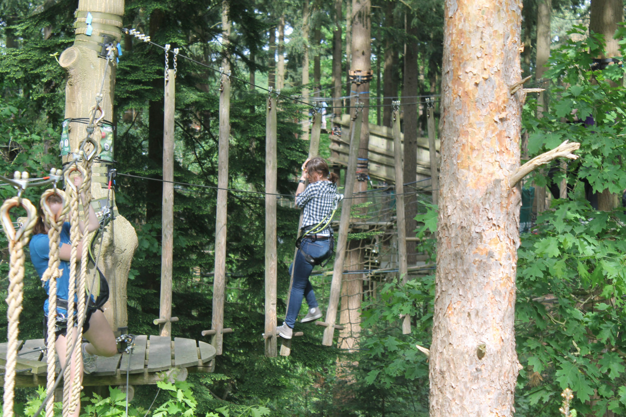 Climbing forest