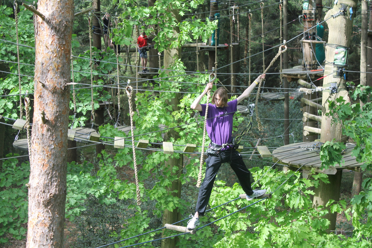 Climbing forest