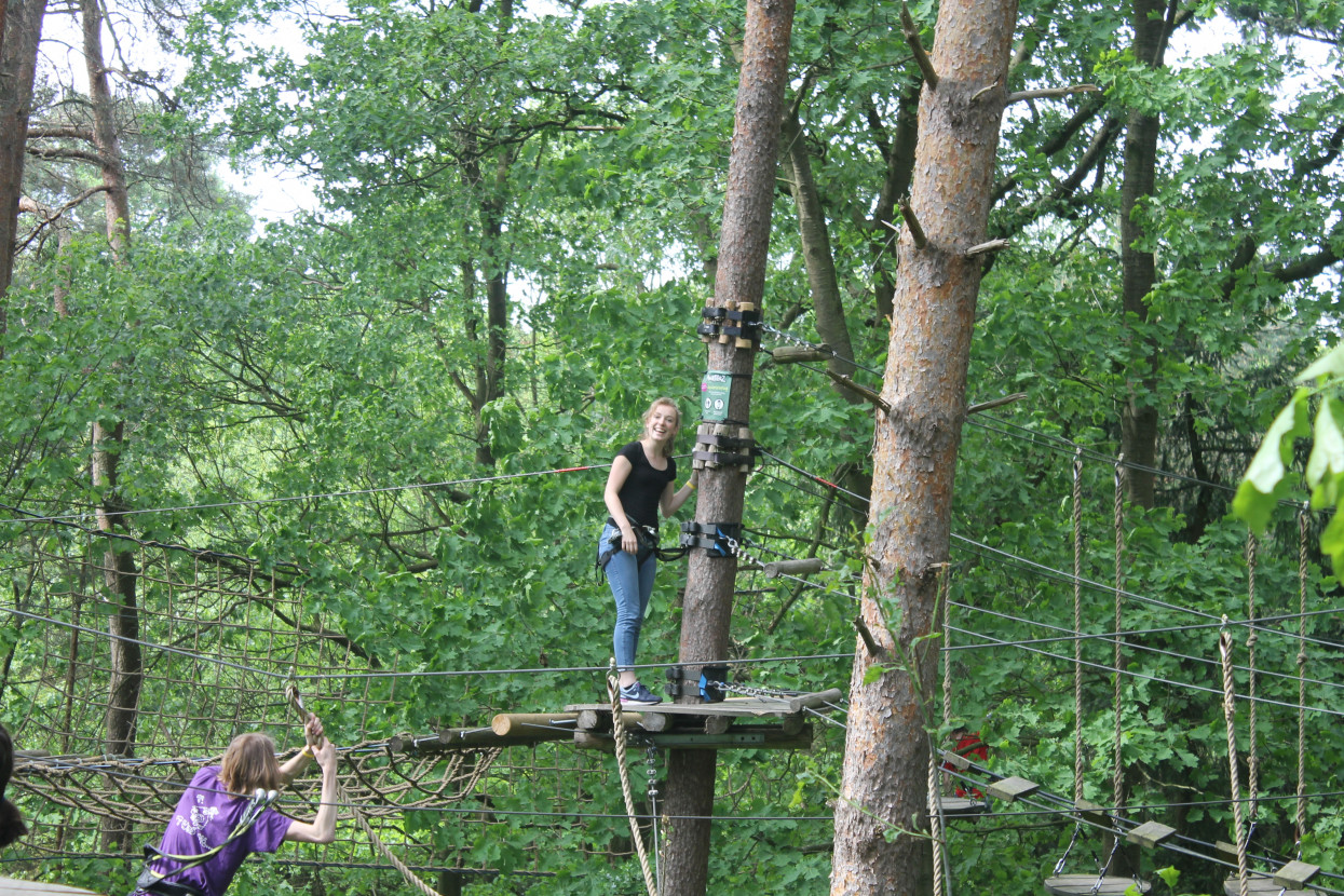 Climbing forest