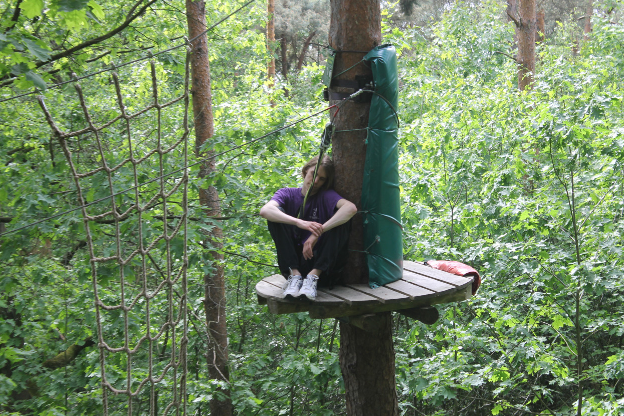 Climbing forest