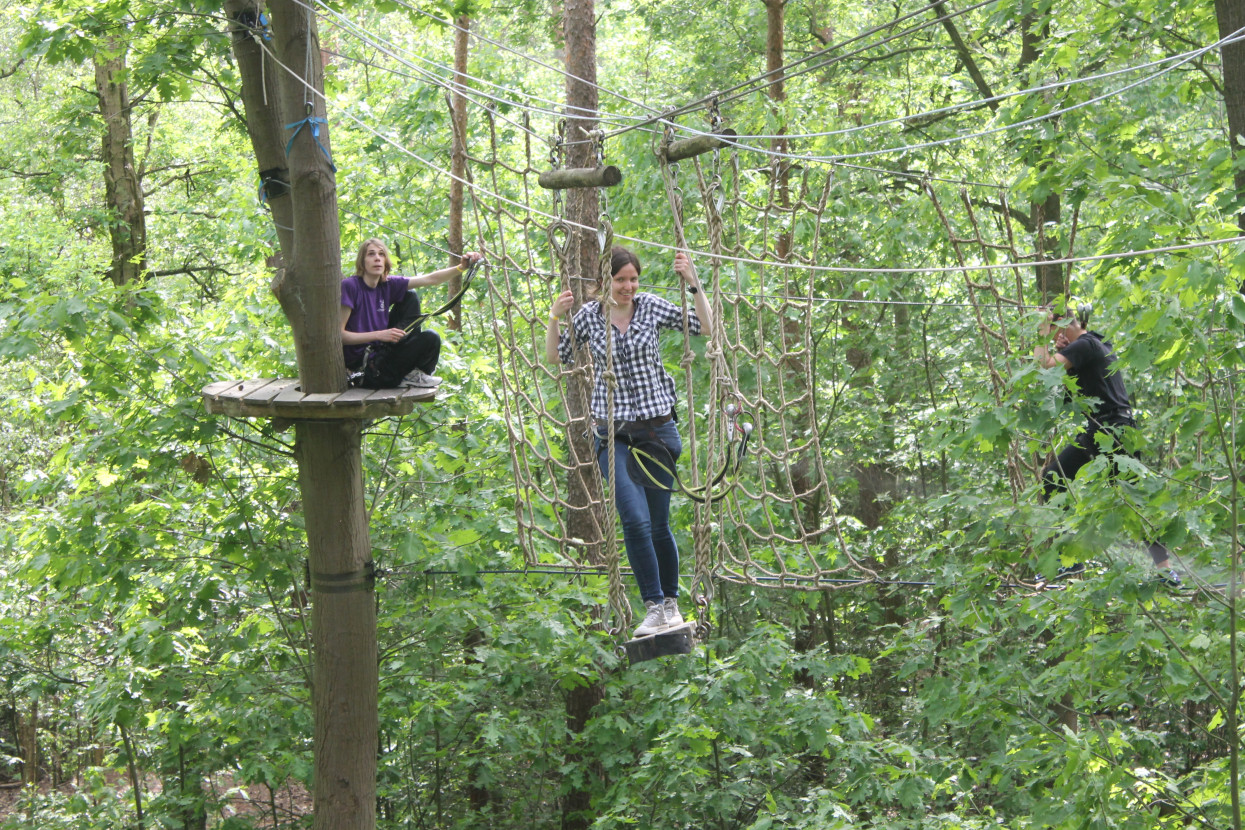 Climbing forest