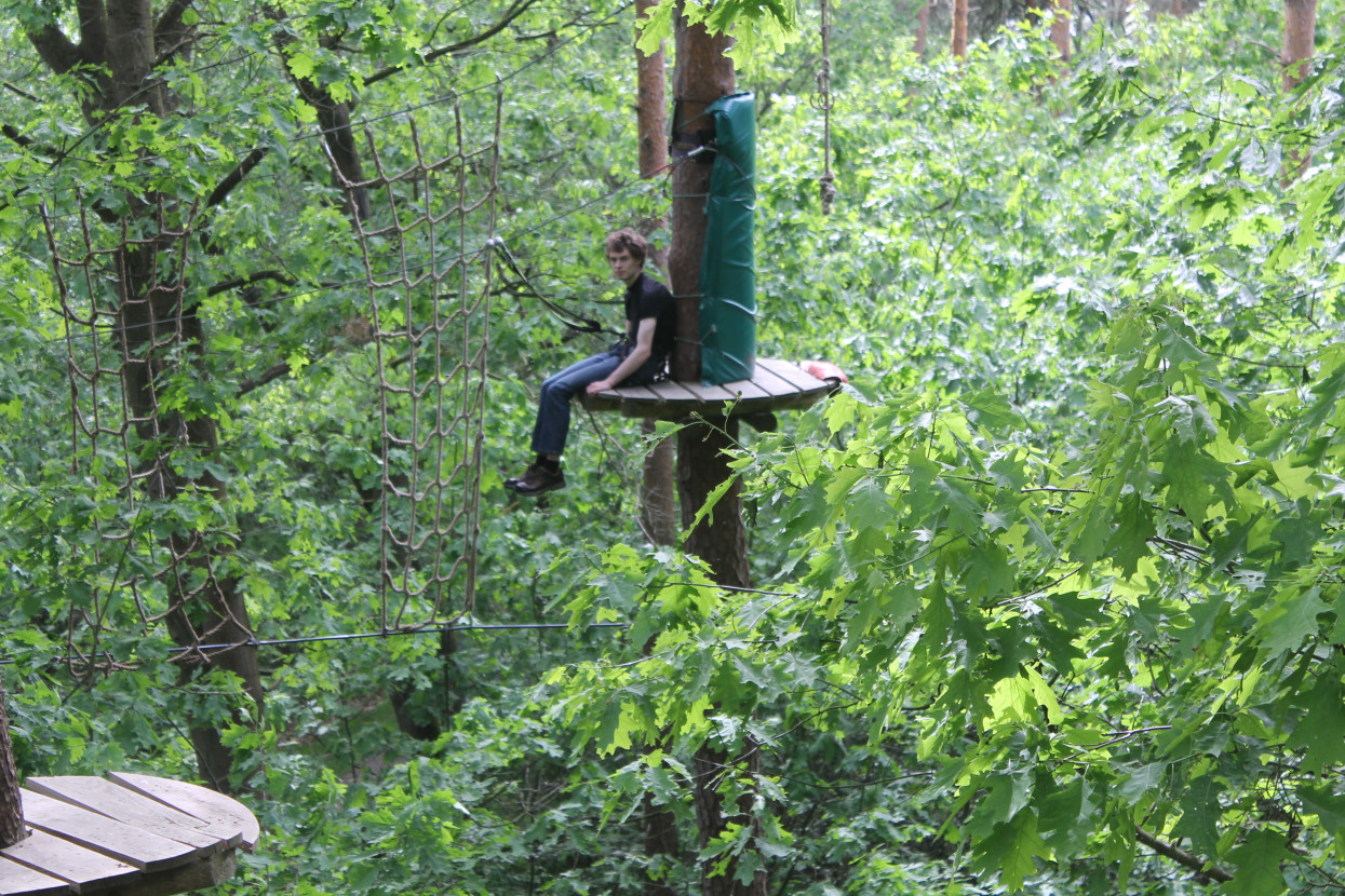 Climbing forest