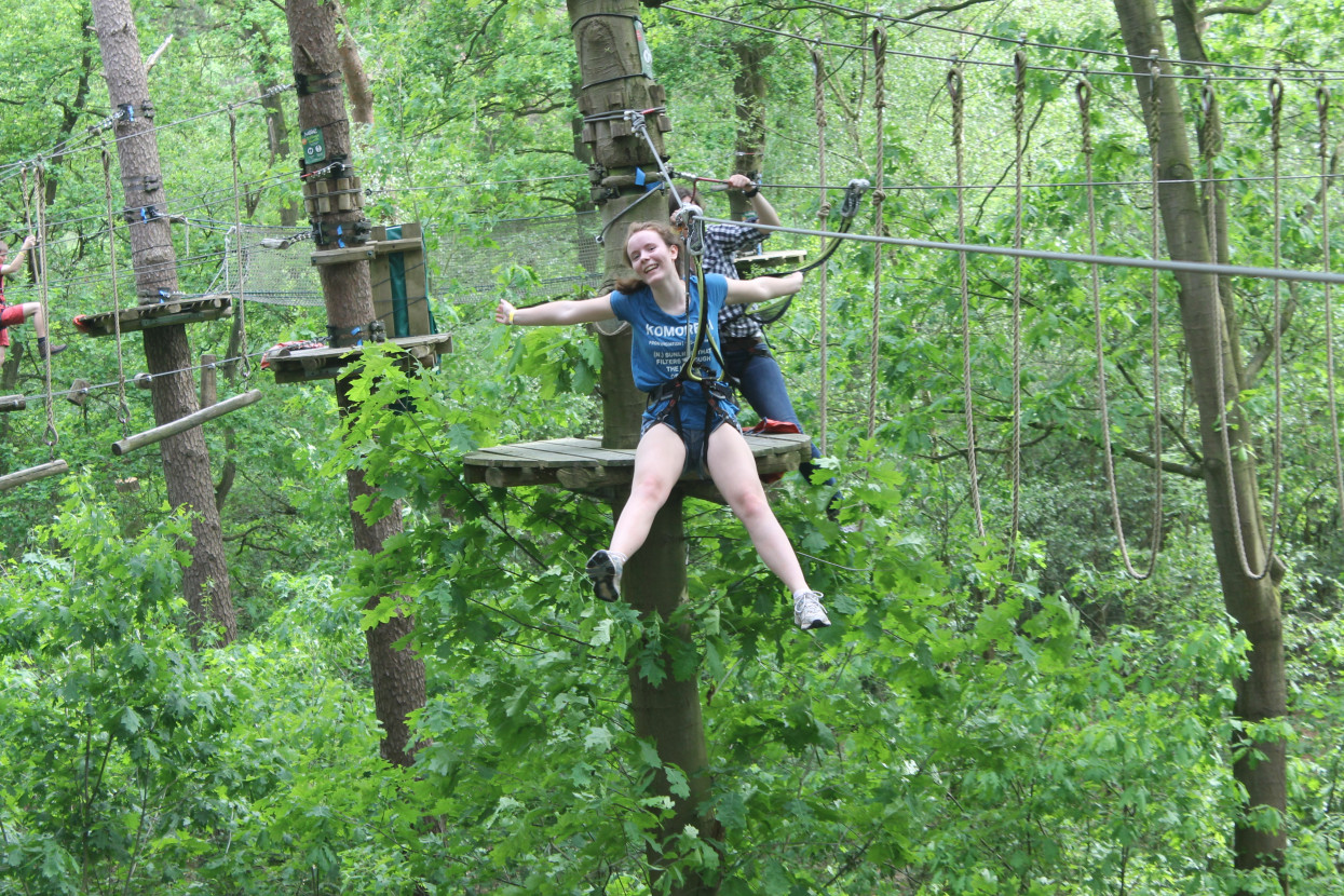 Climbing forest