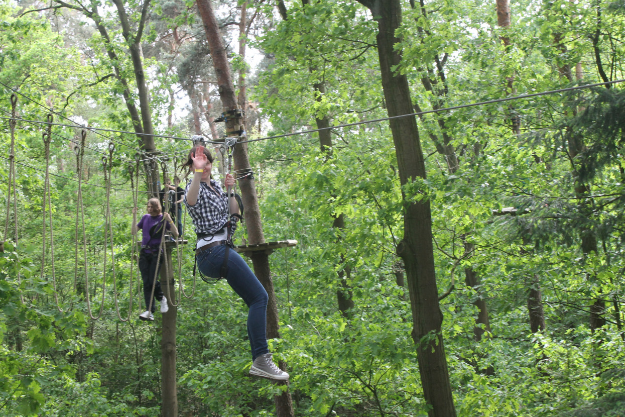 Climbing forest