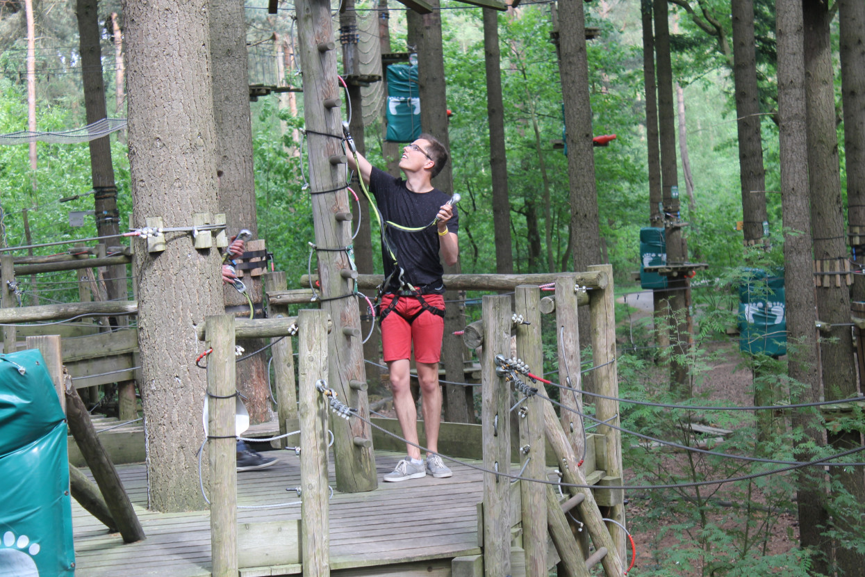 Climbing forest