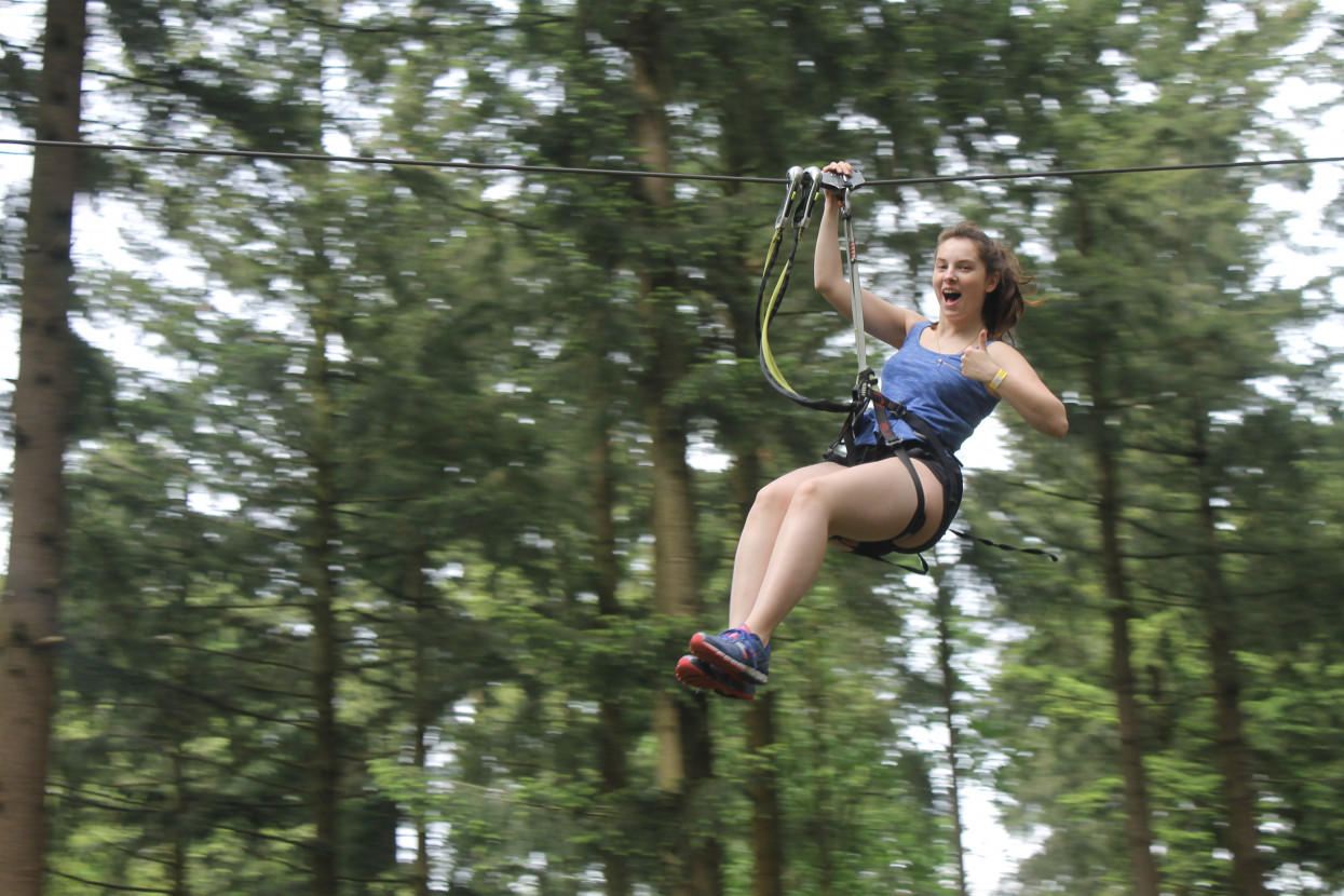 Climbing forest