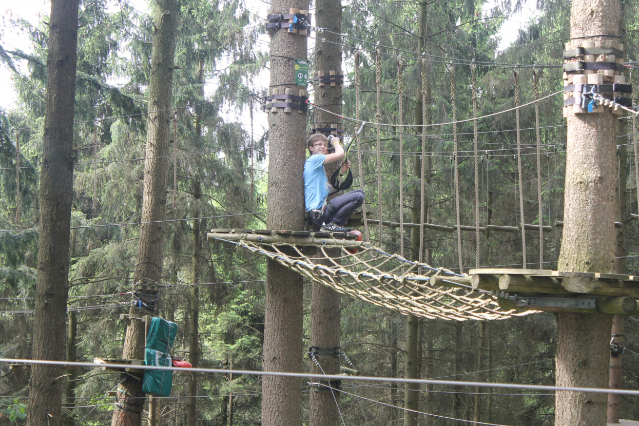 Climbing forest