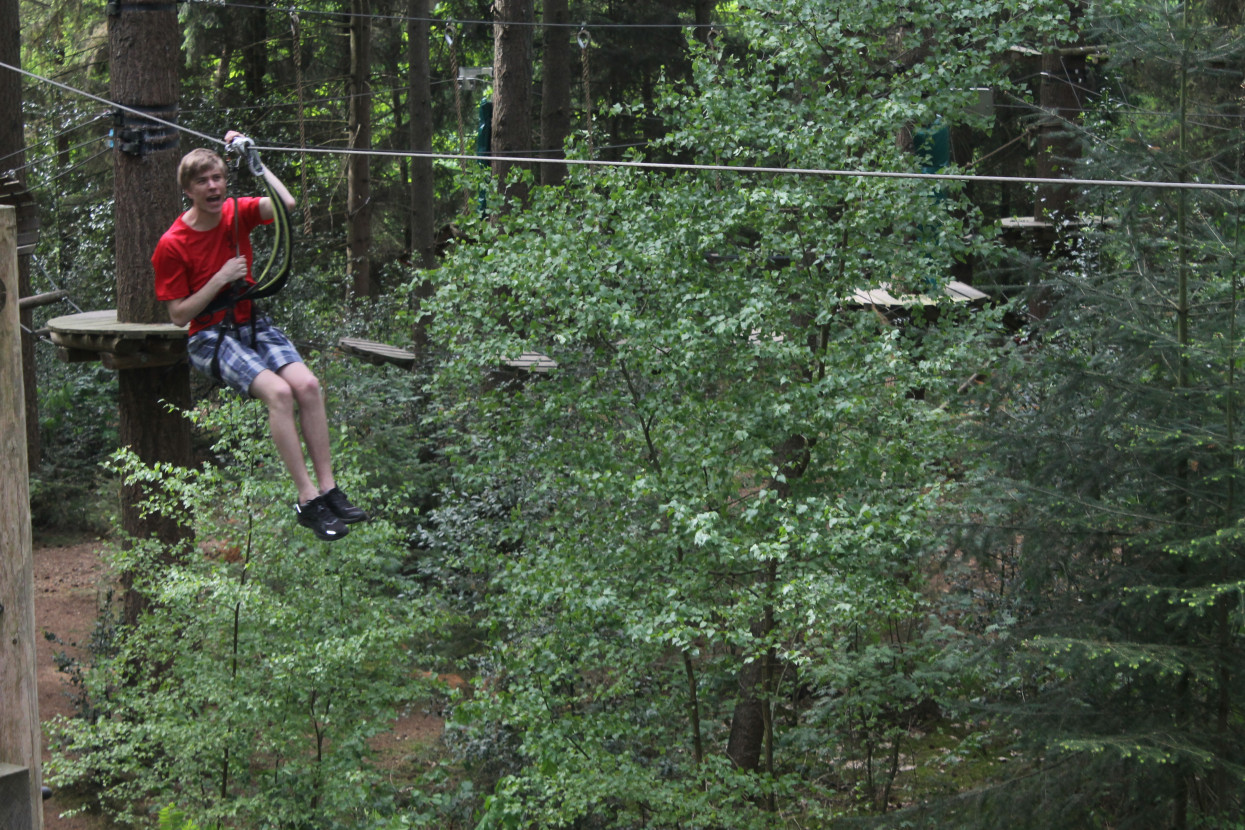 Climbing forest