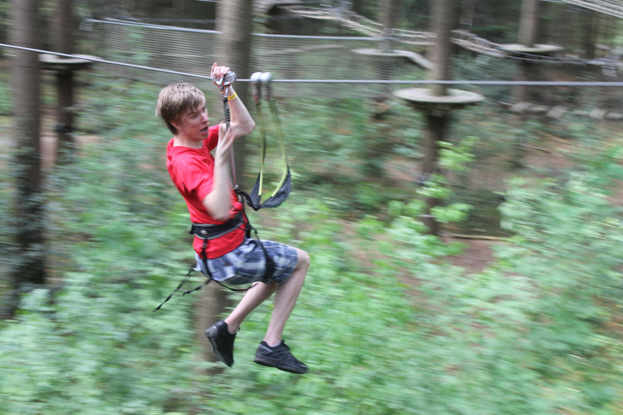 Climbing forest