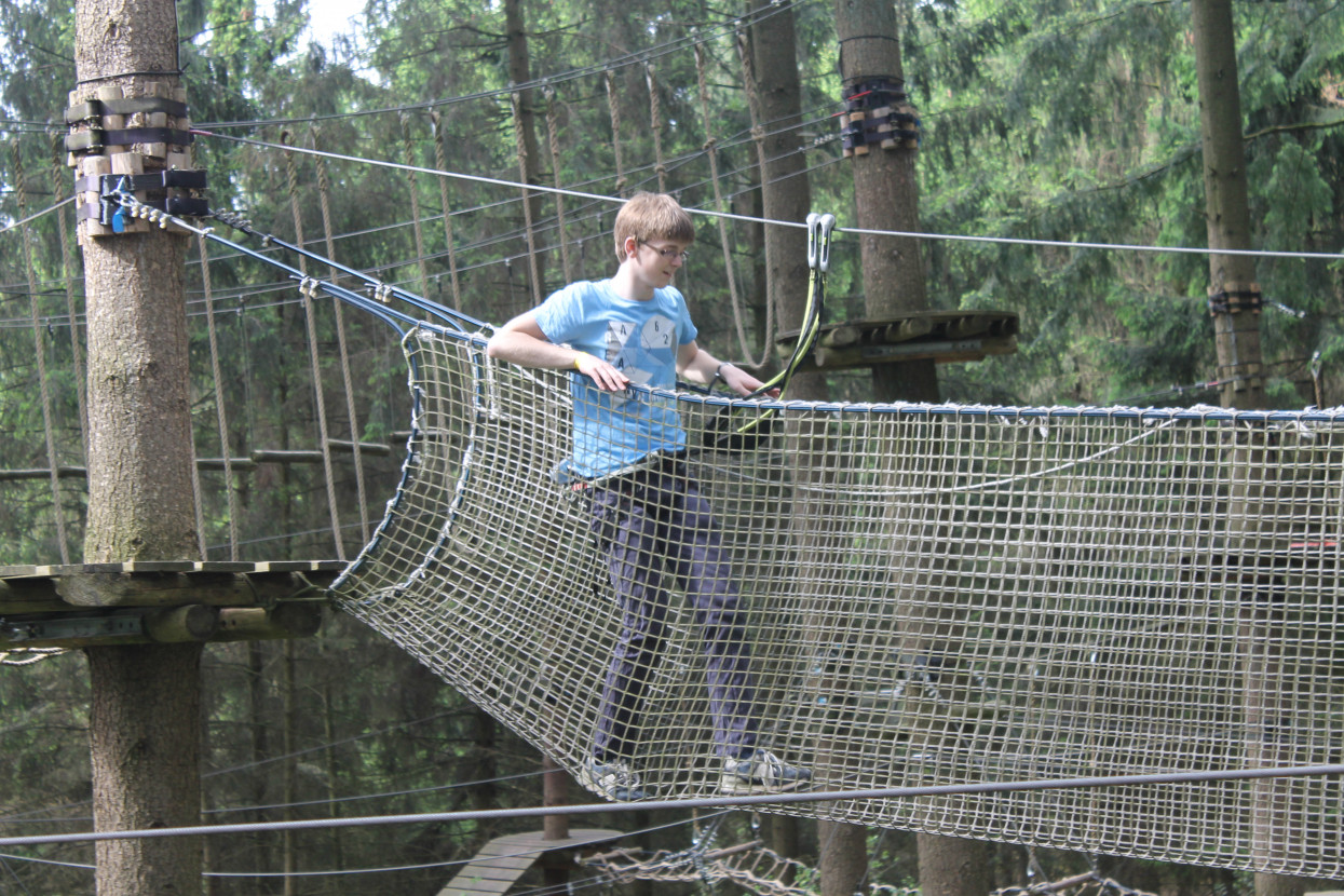 Climbing forest