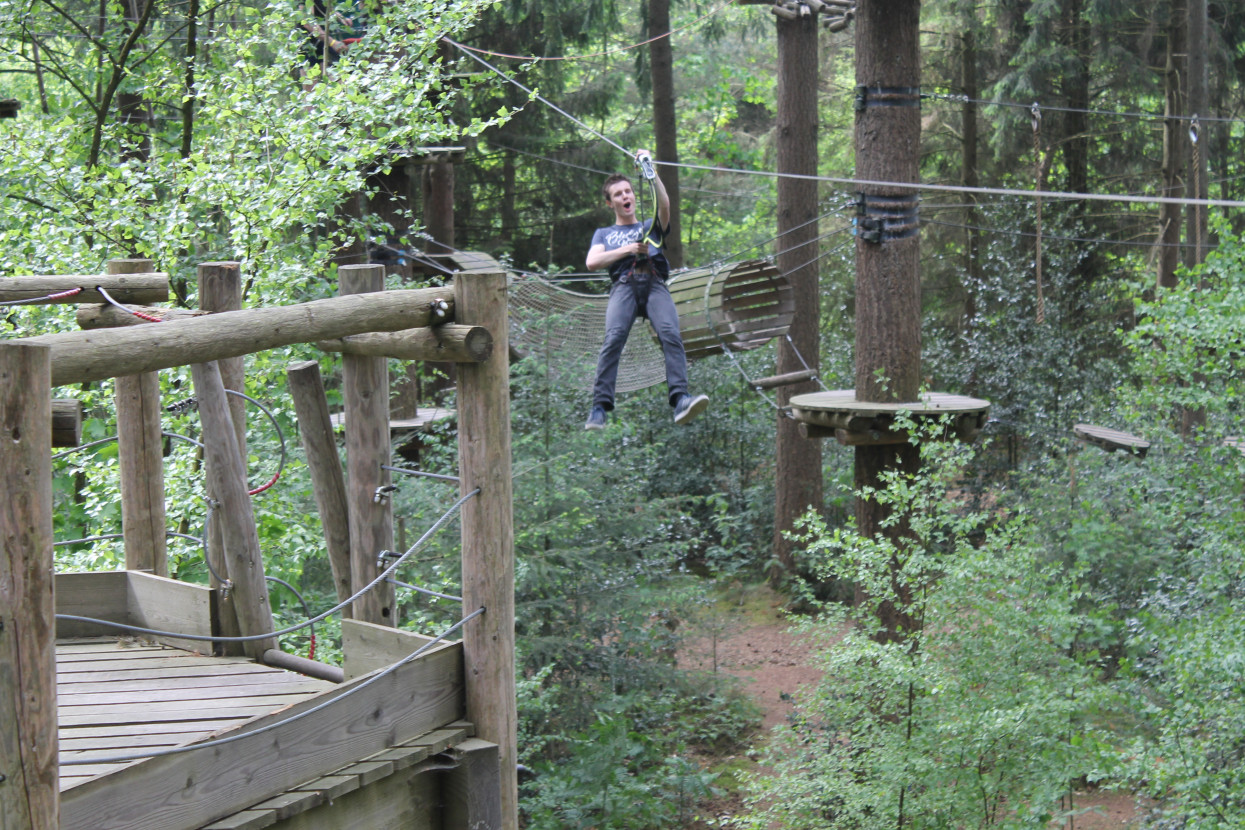 Climbing forest