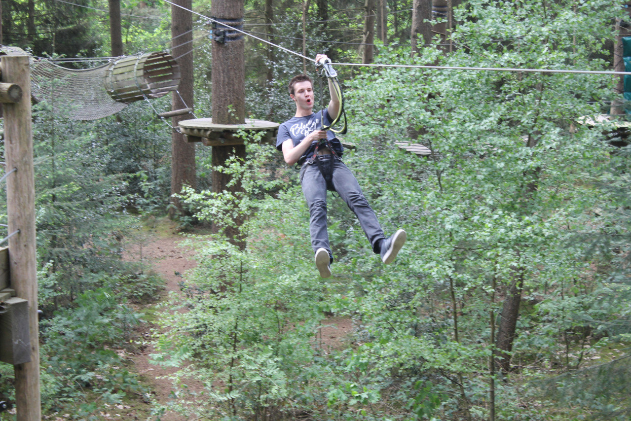 Climbing forest