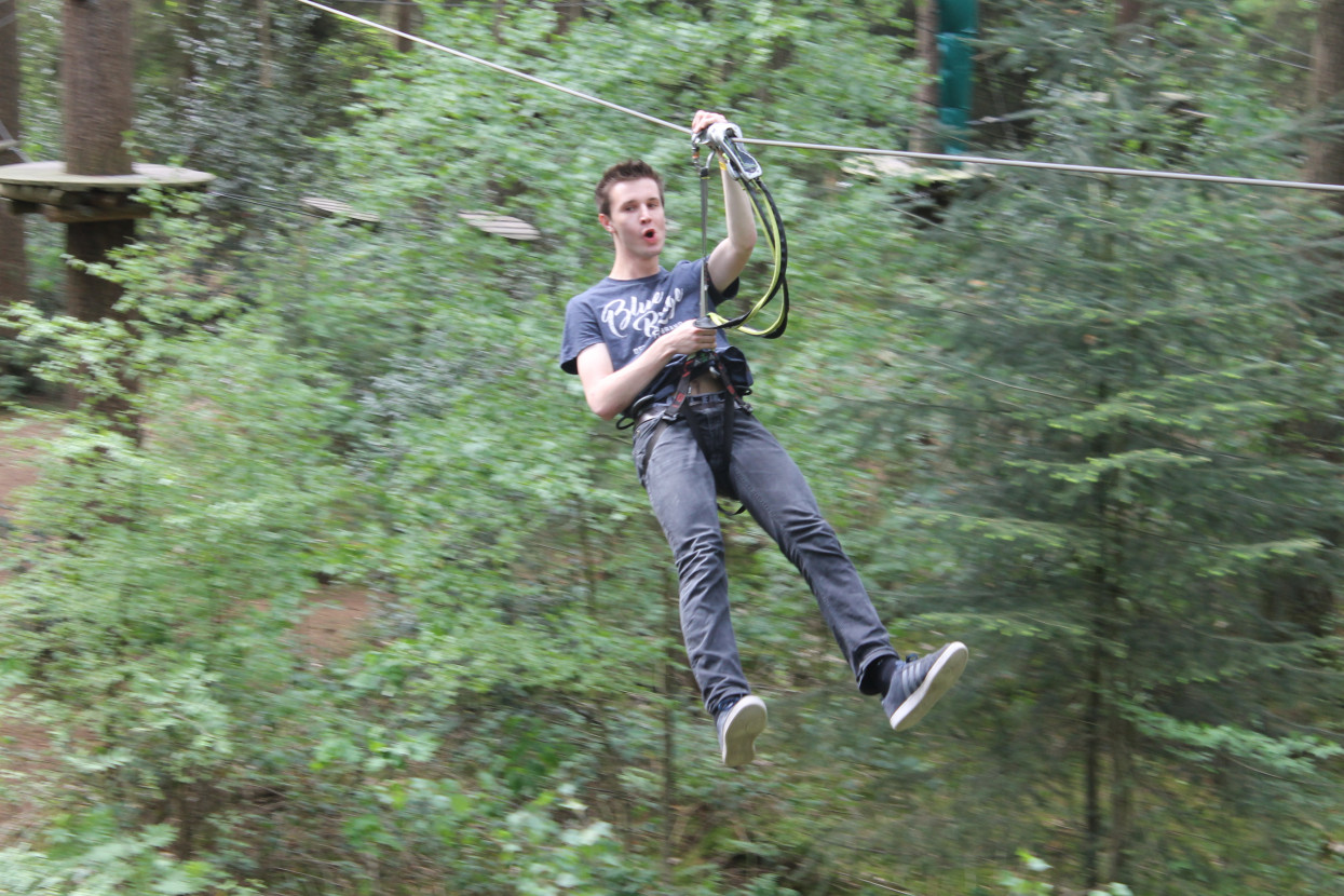 Climbing forest