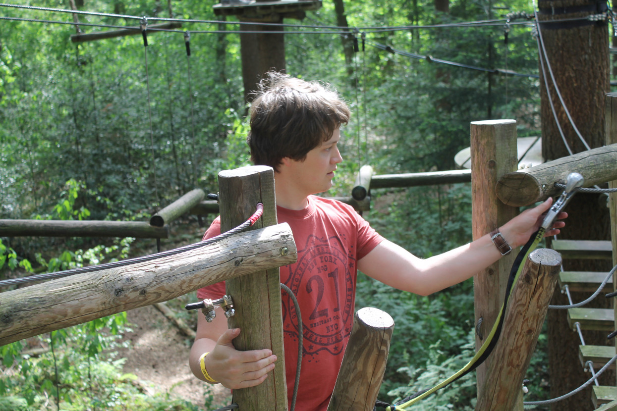 Climbing forest