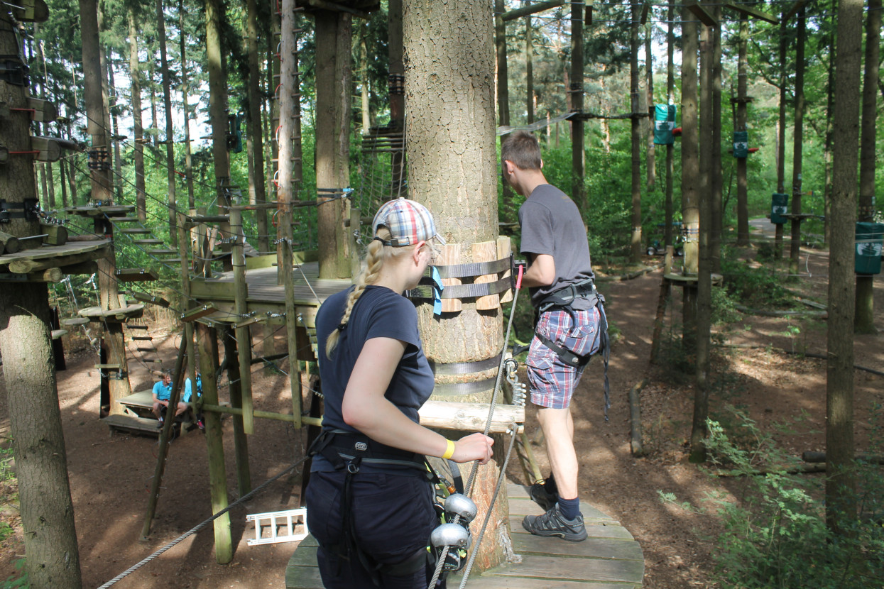 Climbing forest