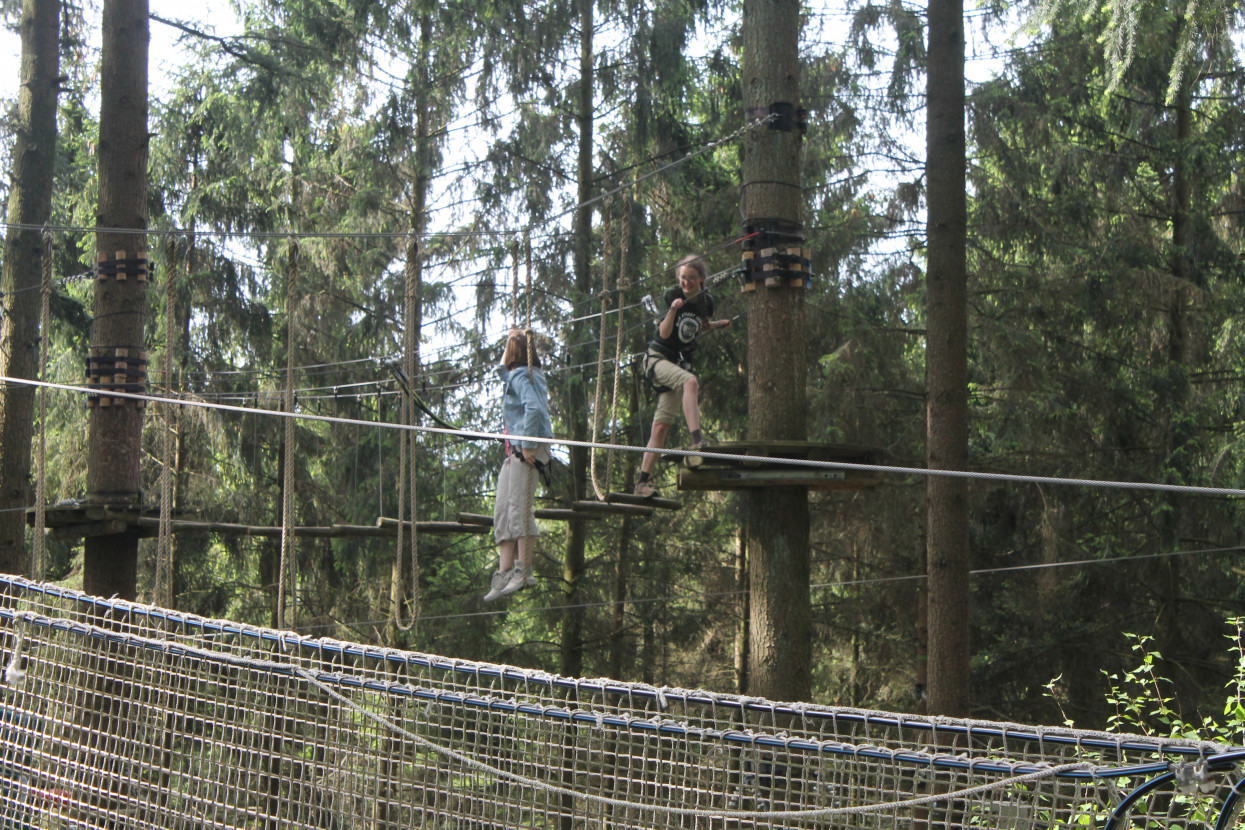 Climbing forest