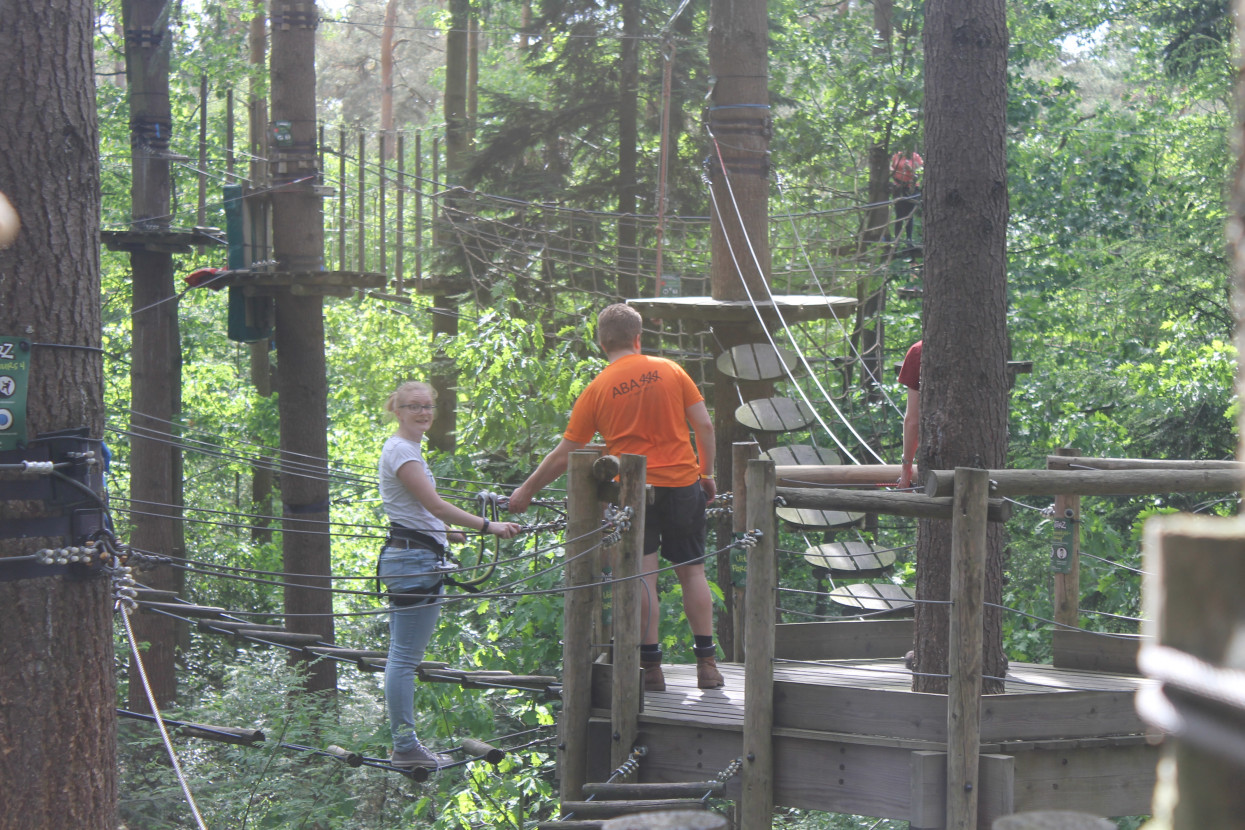 Climbing forest