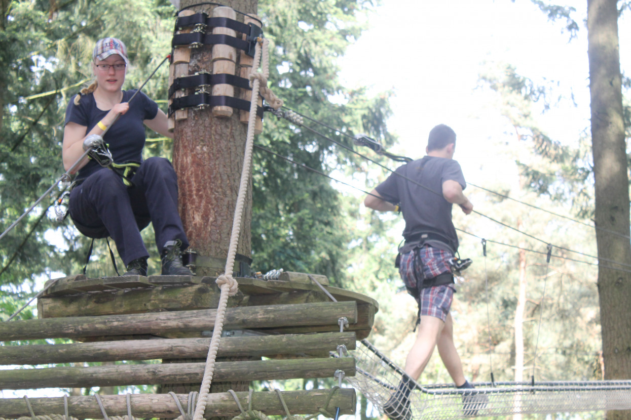 Climbing forest