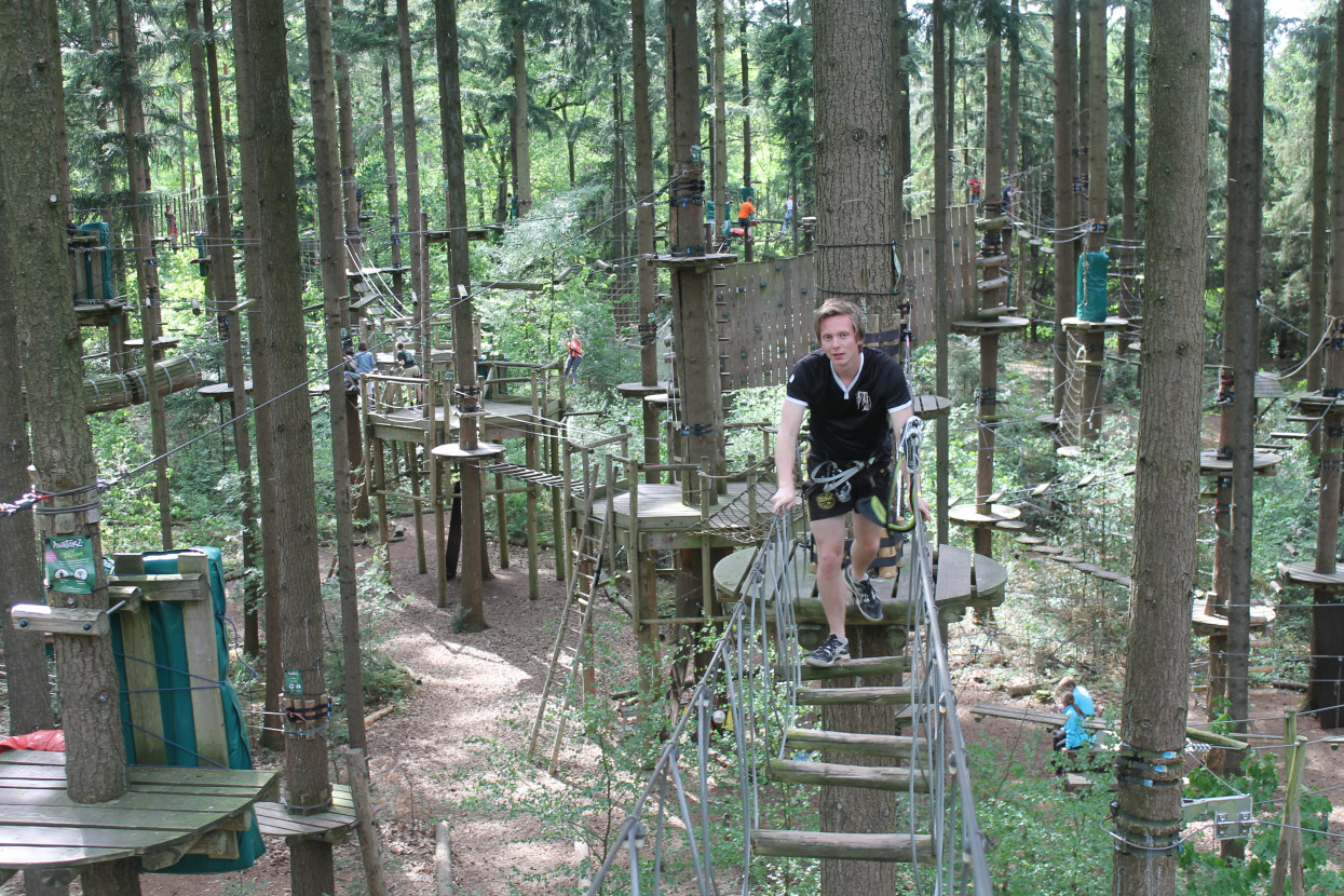 Climbing forest