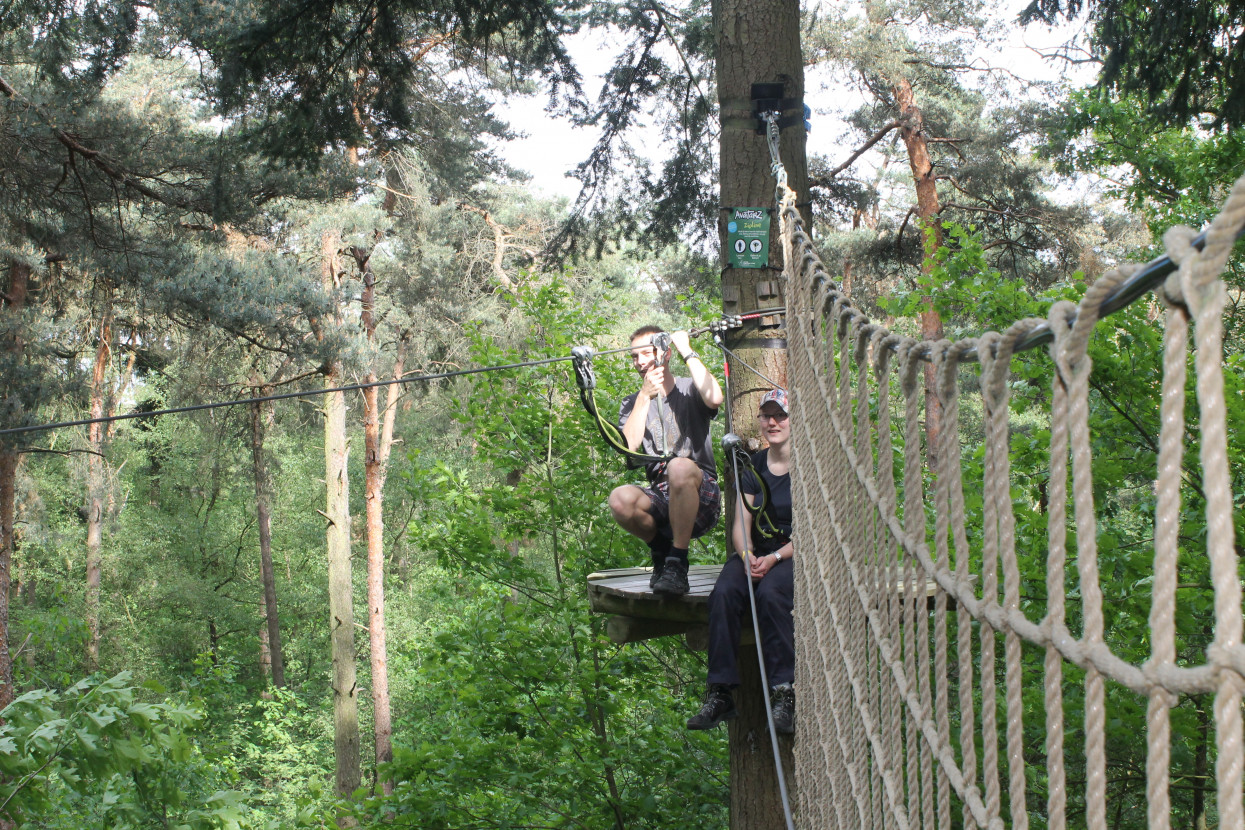 Climbing forest