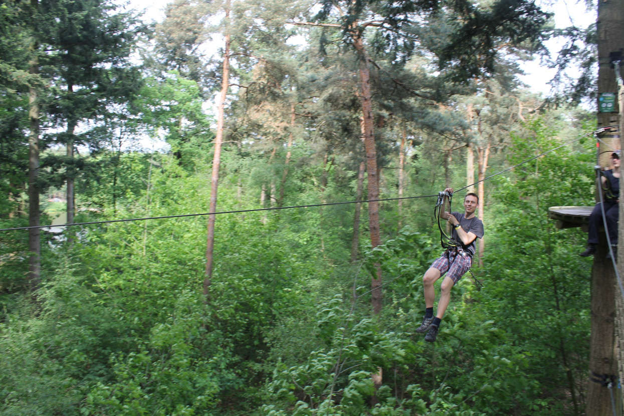 Climbing forest