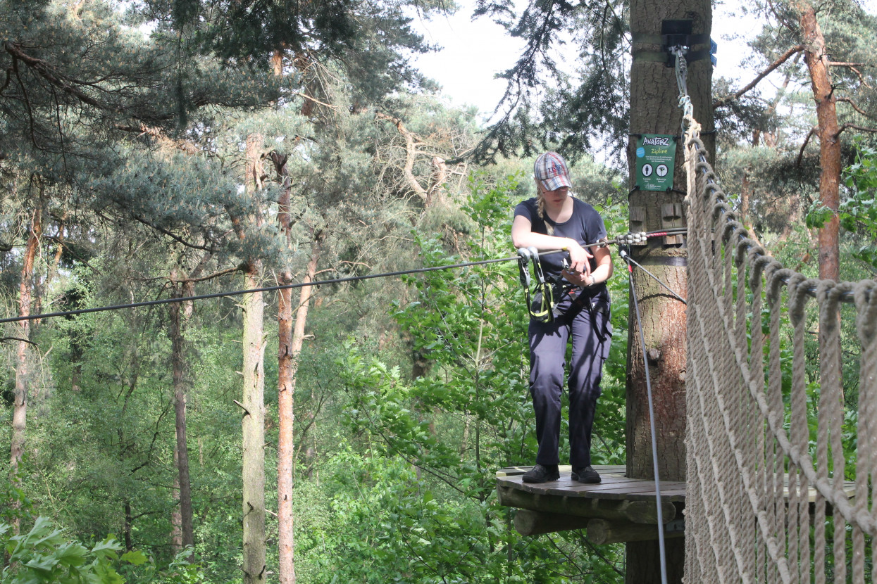 Climbing forest