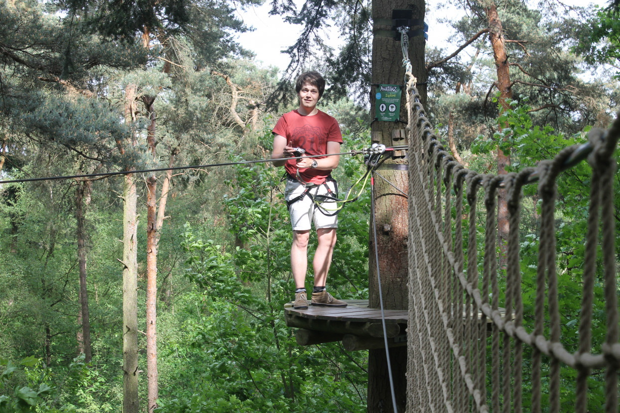 Climbing forest