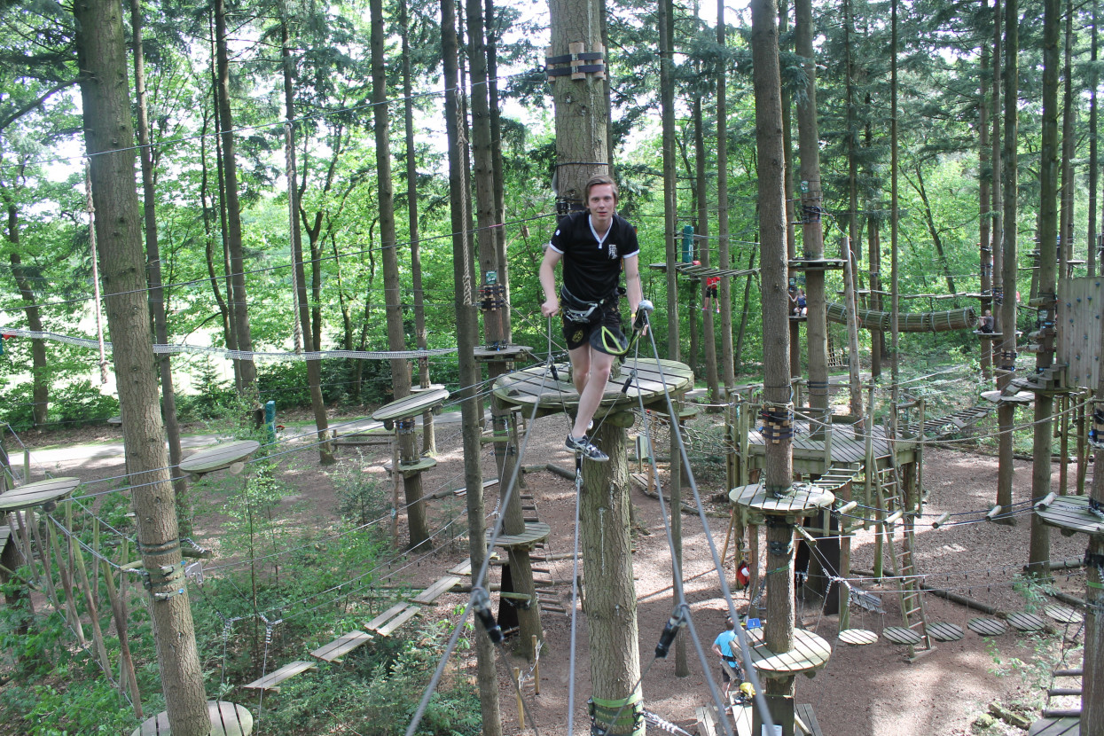 Climbing forest