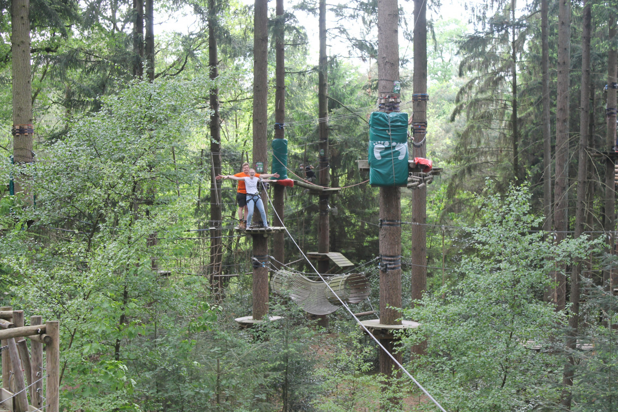 Climbing forest