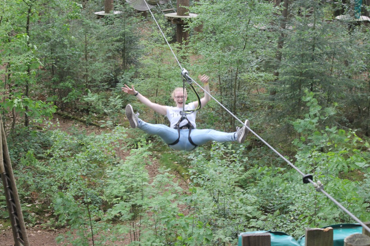 Climbing forest