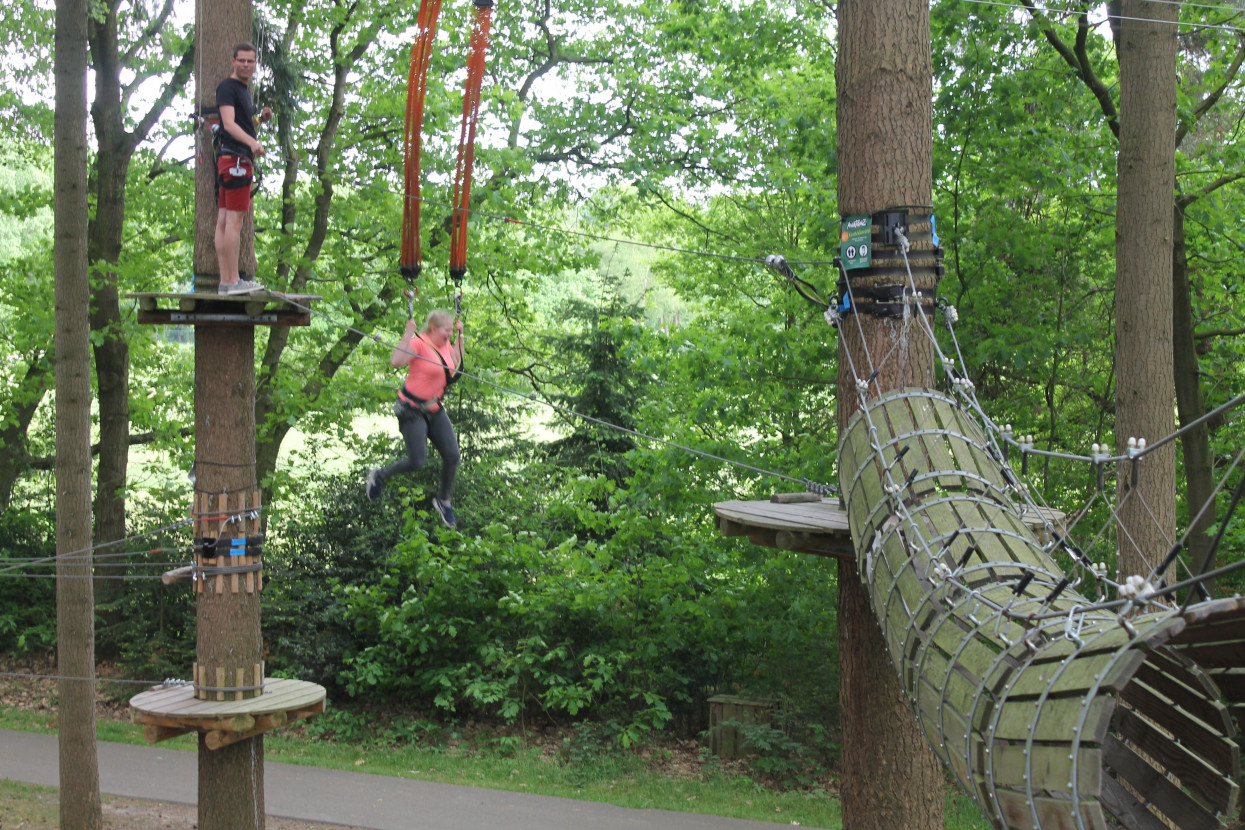 Climbing forest