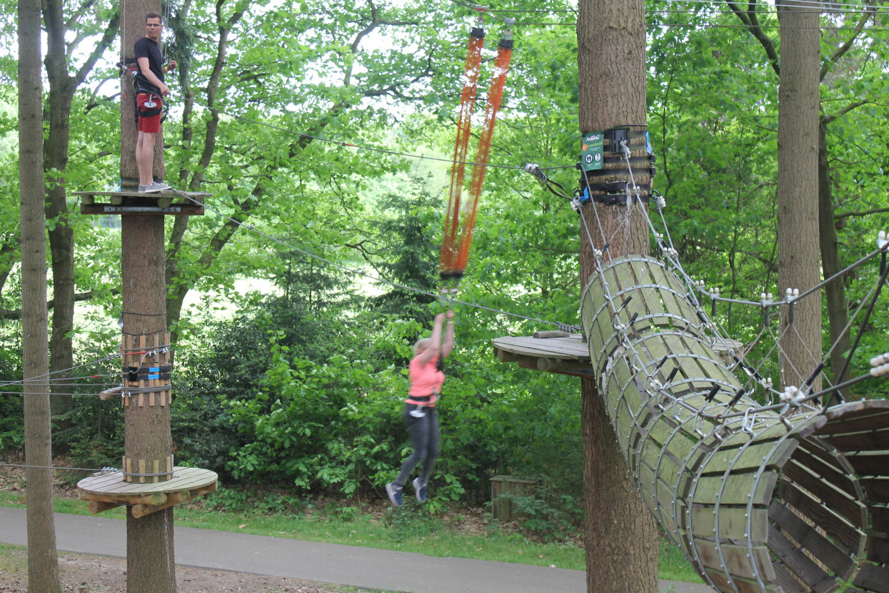 Climbing forest