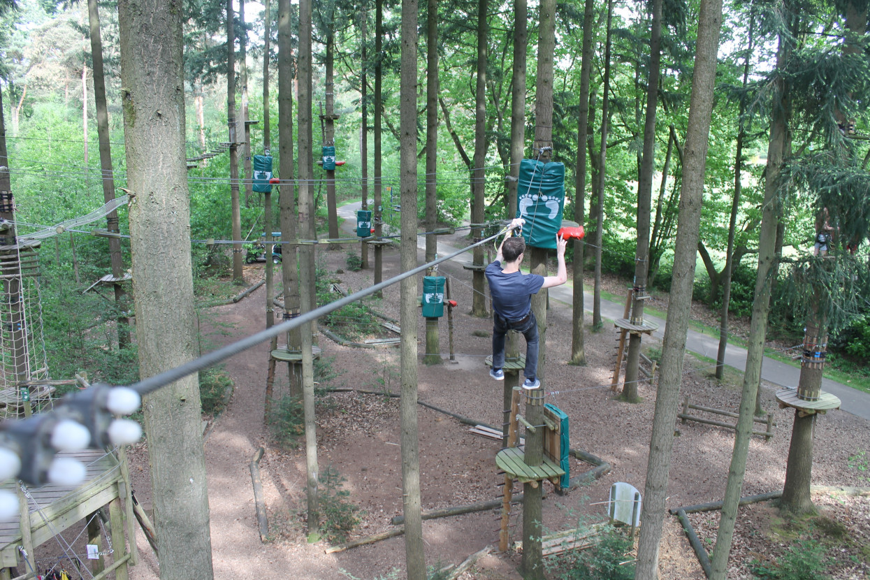 Climbing forest