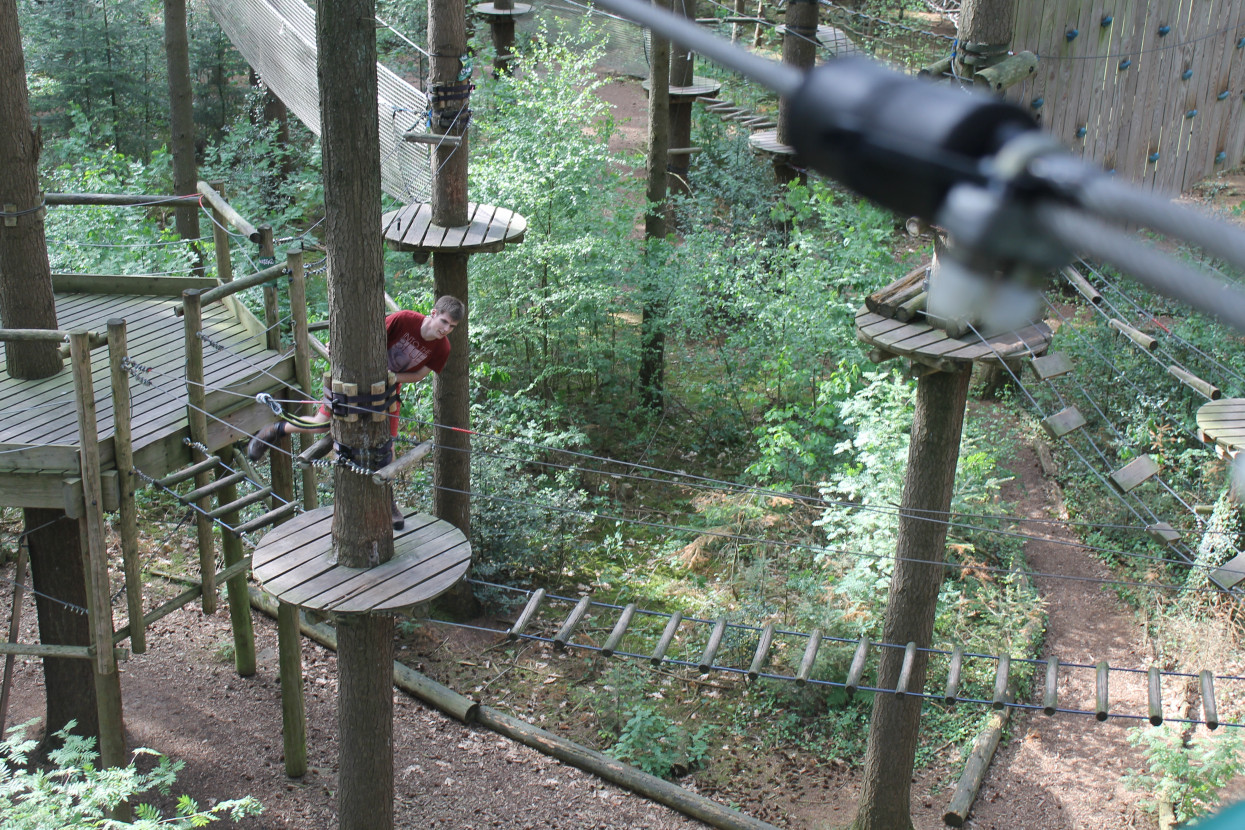 Climbing forest