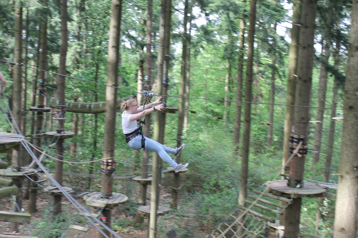 Climbing forest