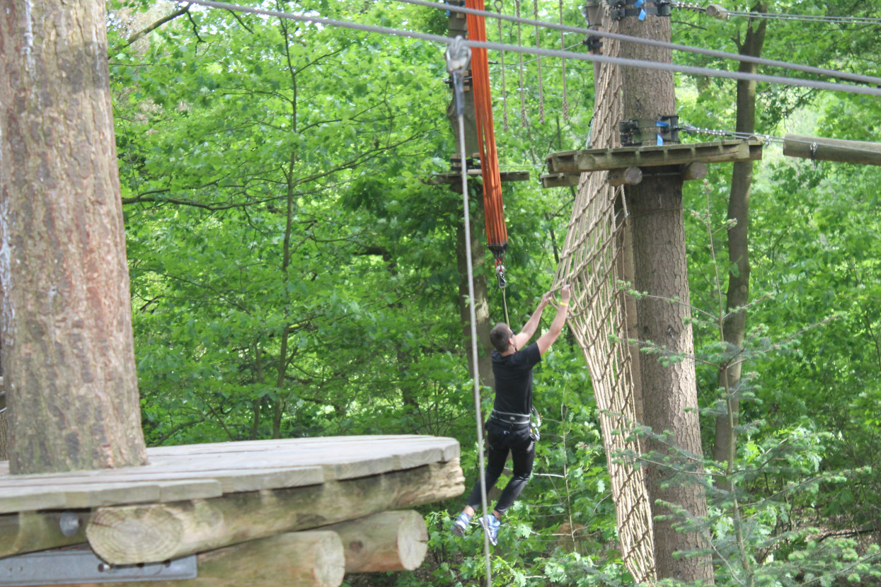 Climbing forest