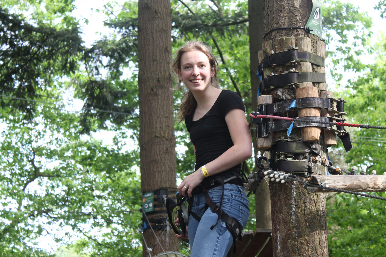 Climbing forest