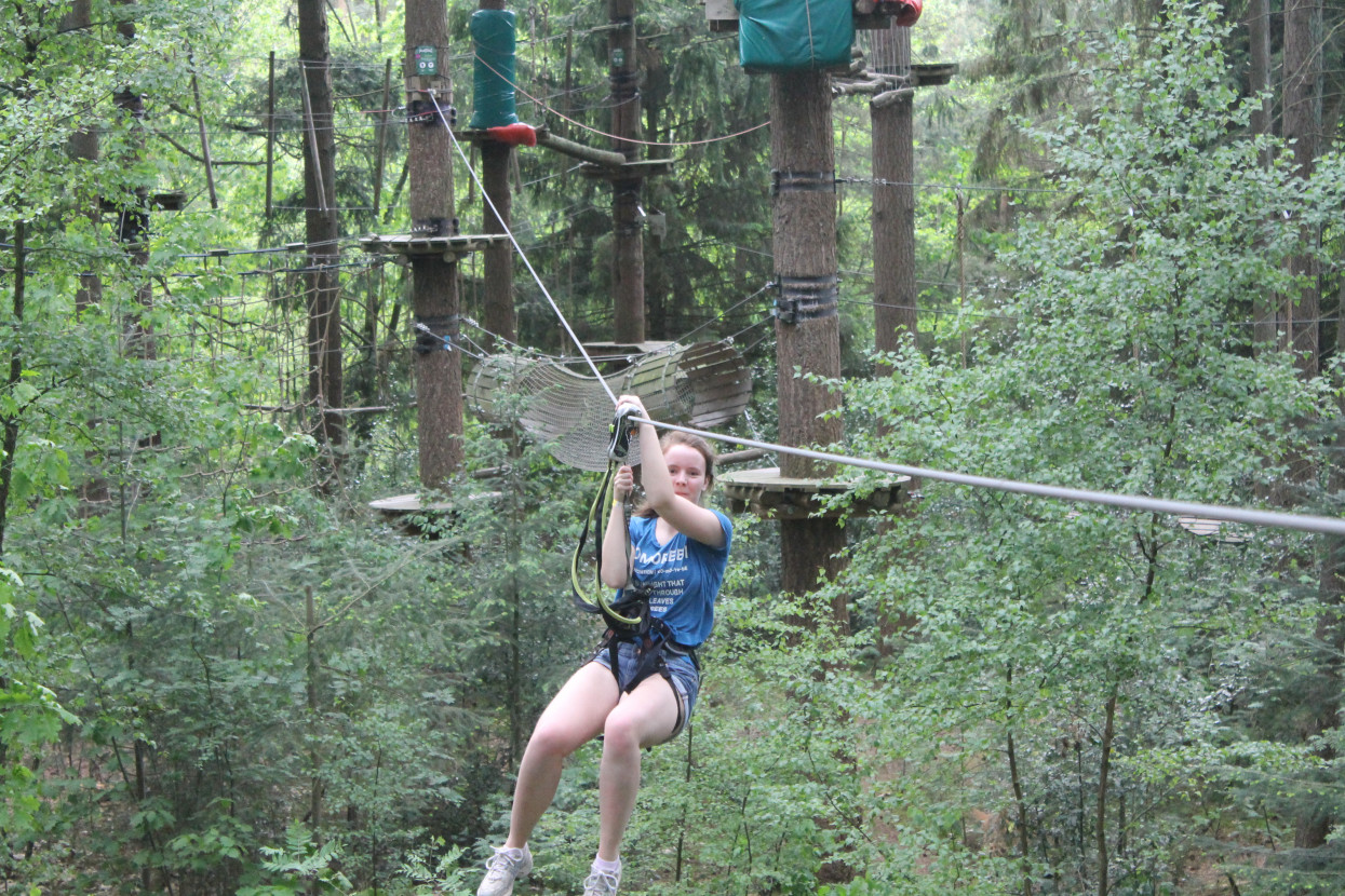 Climbing forest