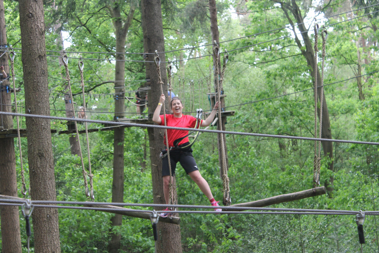 Climbing forest