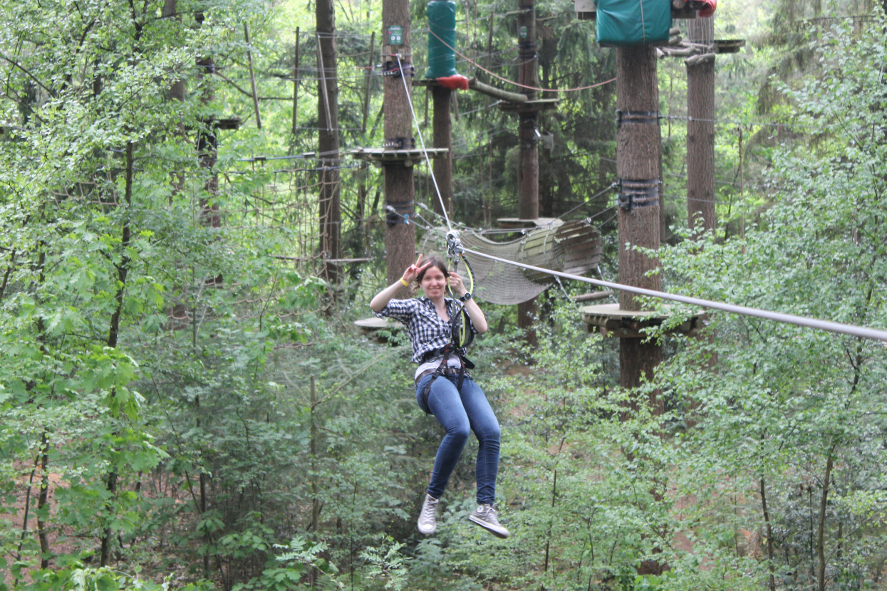 Climbing forest