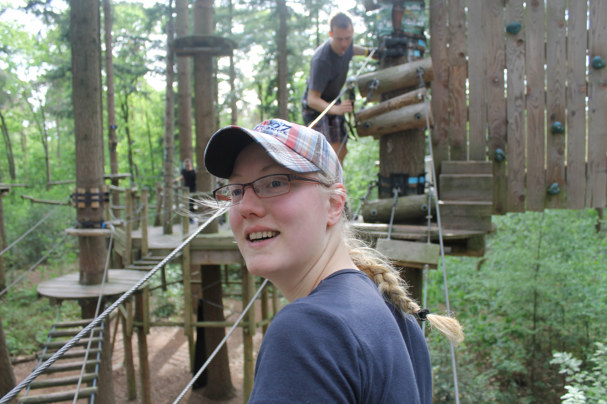 Climbing forest