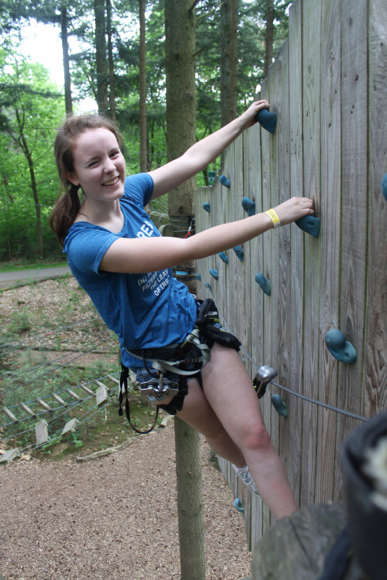 Climbing forest