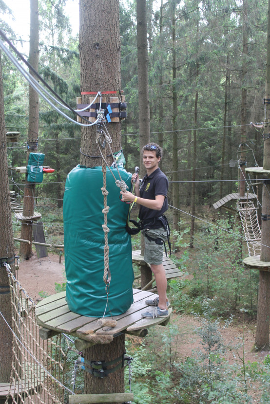 Climbing forest