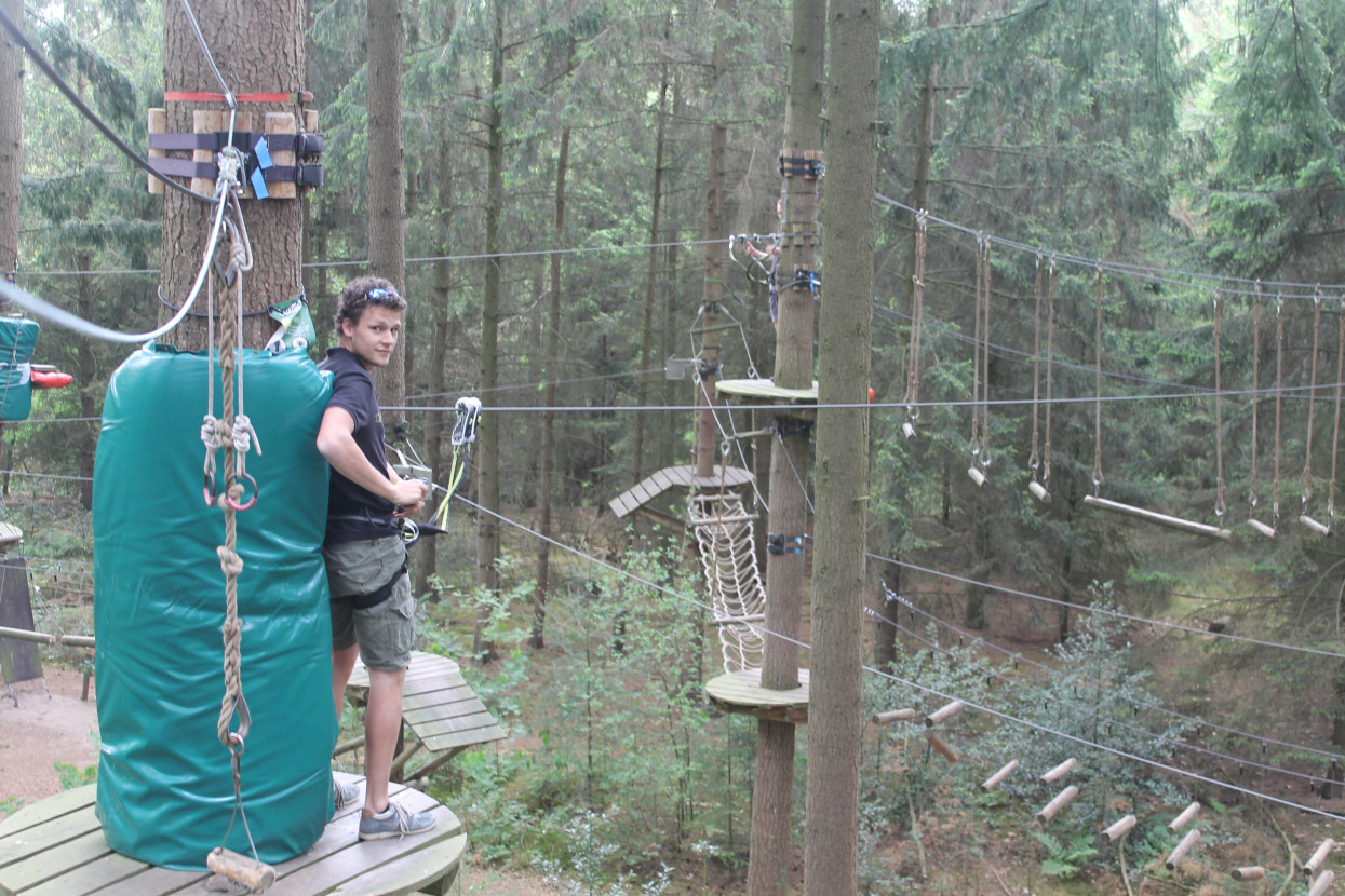 Climbing forest