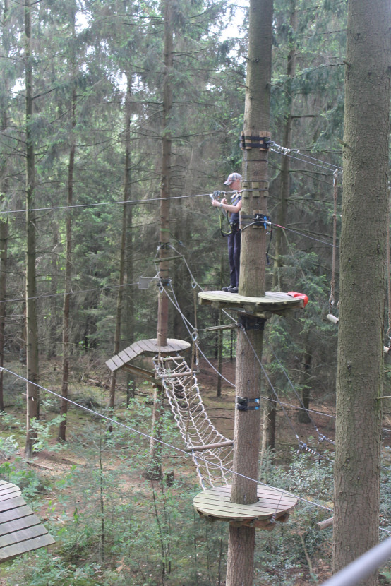 Climbing forest