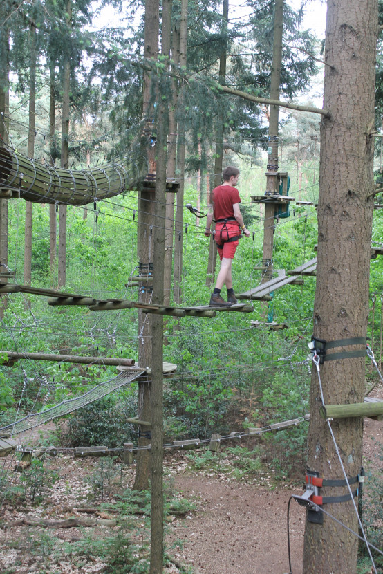 Climbing forest