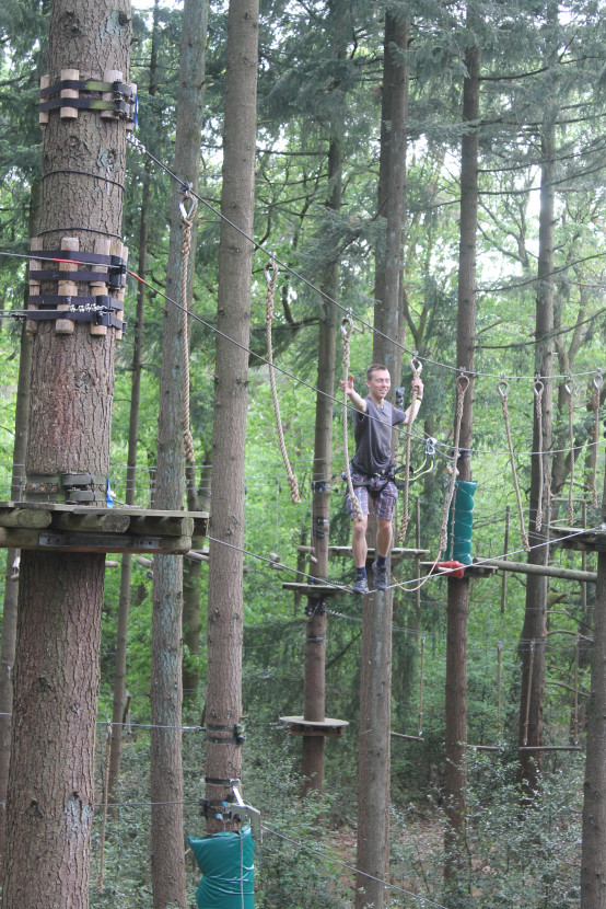 Climbing forest