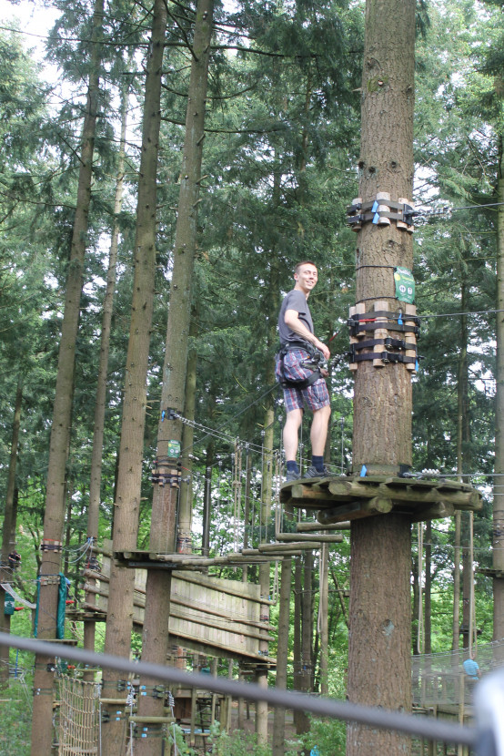 Climbing forest