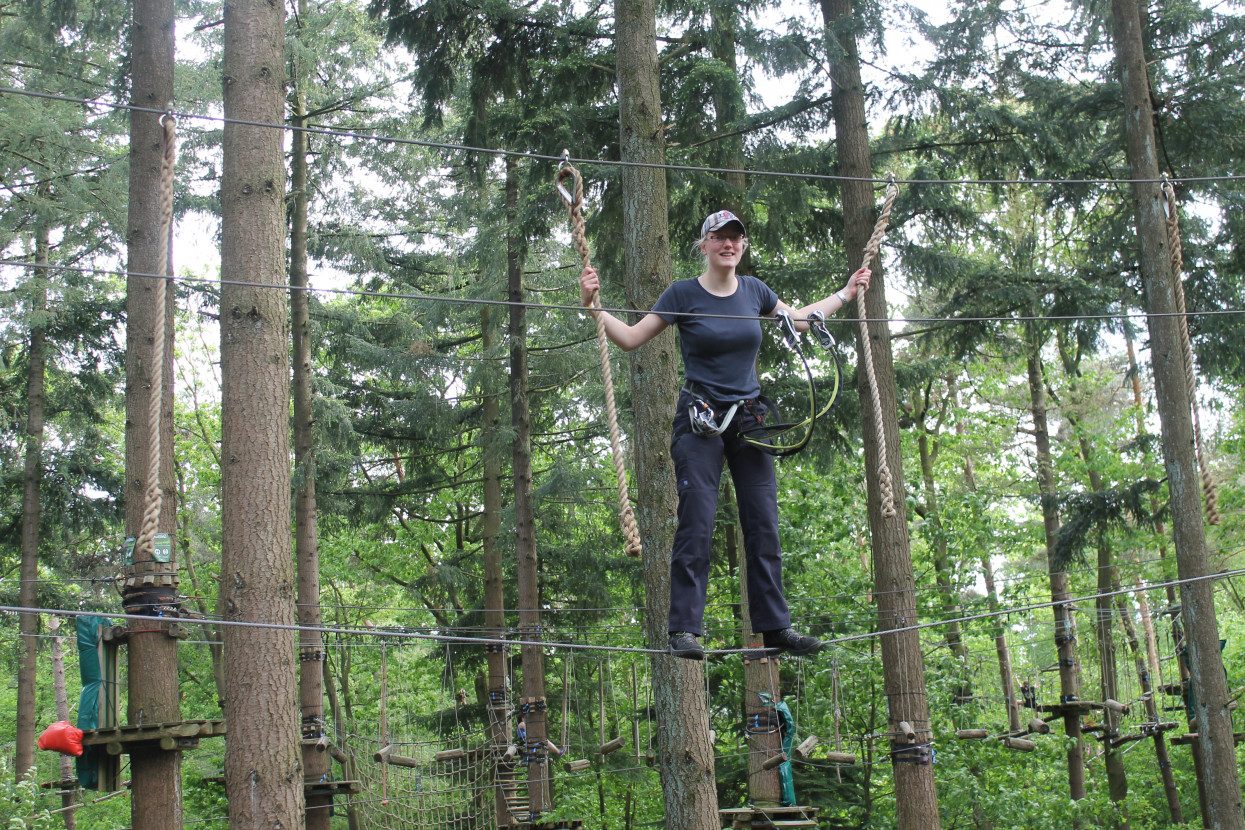 Climbing forest